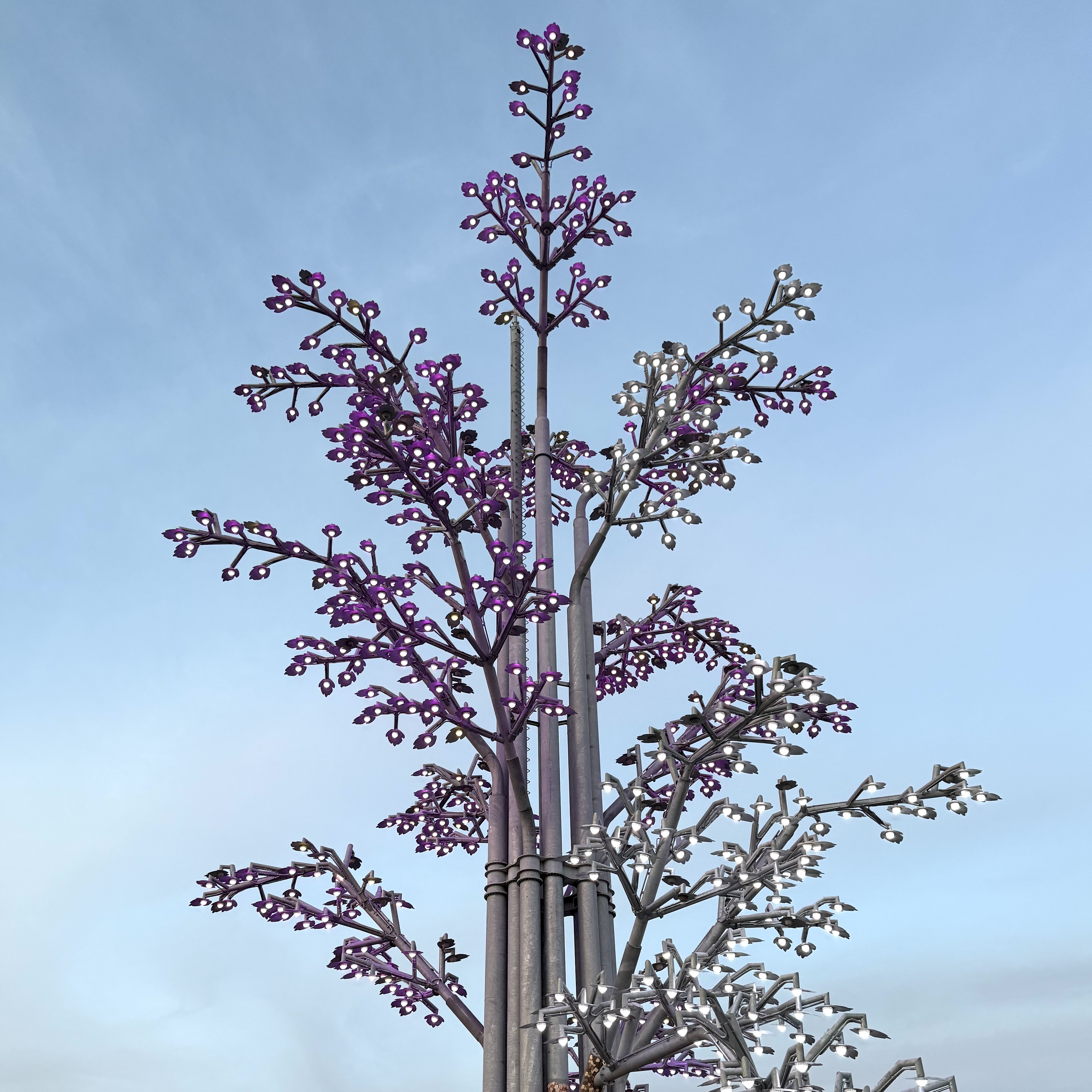 A large tree in Buenos Aires composed of LED lights